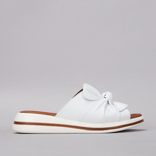 LE SANSA - Salsa - White