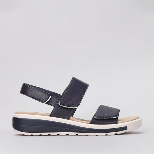 Hanza - Navy - Naked Arches