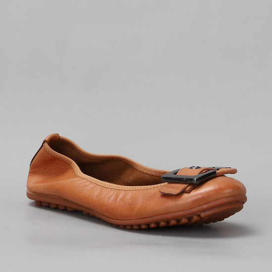 Ballencia - Tan - LE SANSA