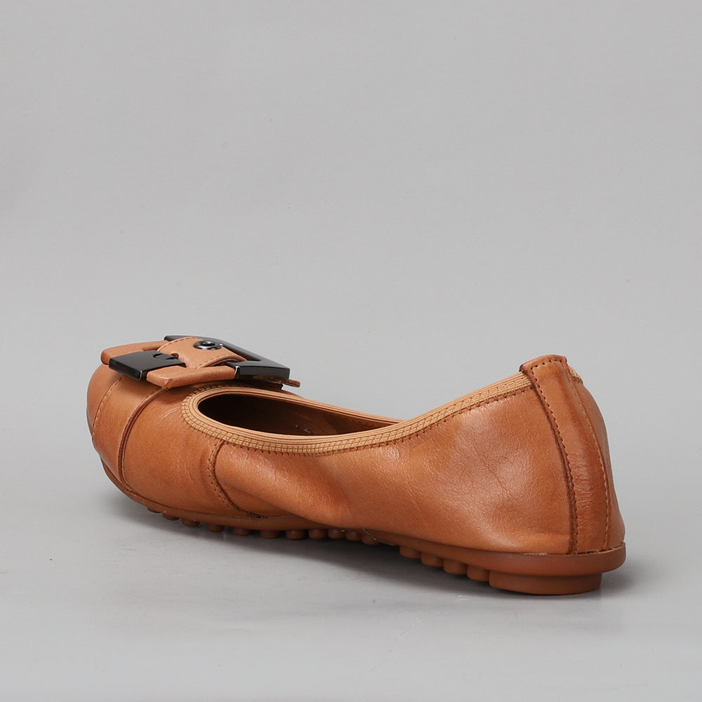 Ballencia - Tan - LE SANSA