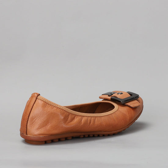 Ballencia - Tan - LE SANSA