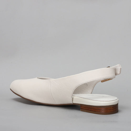 Zodiac - Nude - Naked Arches