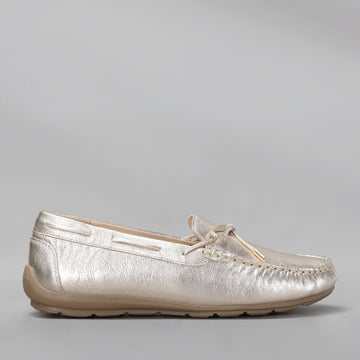 ARA - 12-19212-25 ALABAMA - PLATIN