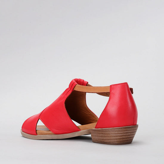 Digby - Red/Tan - LE SANSA