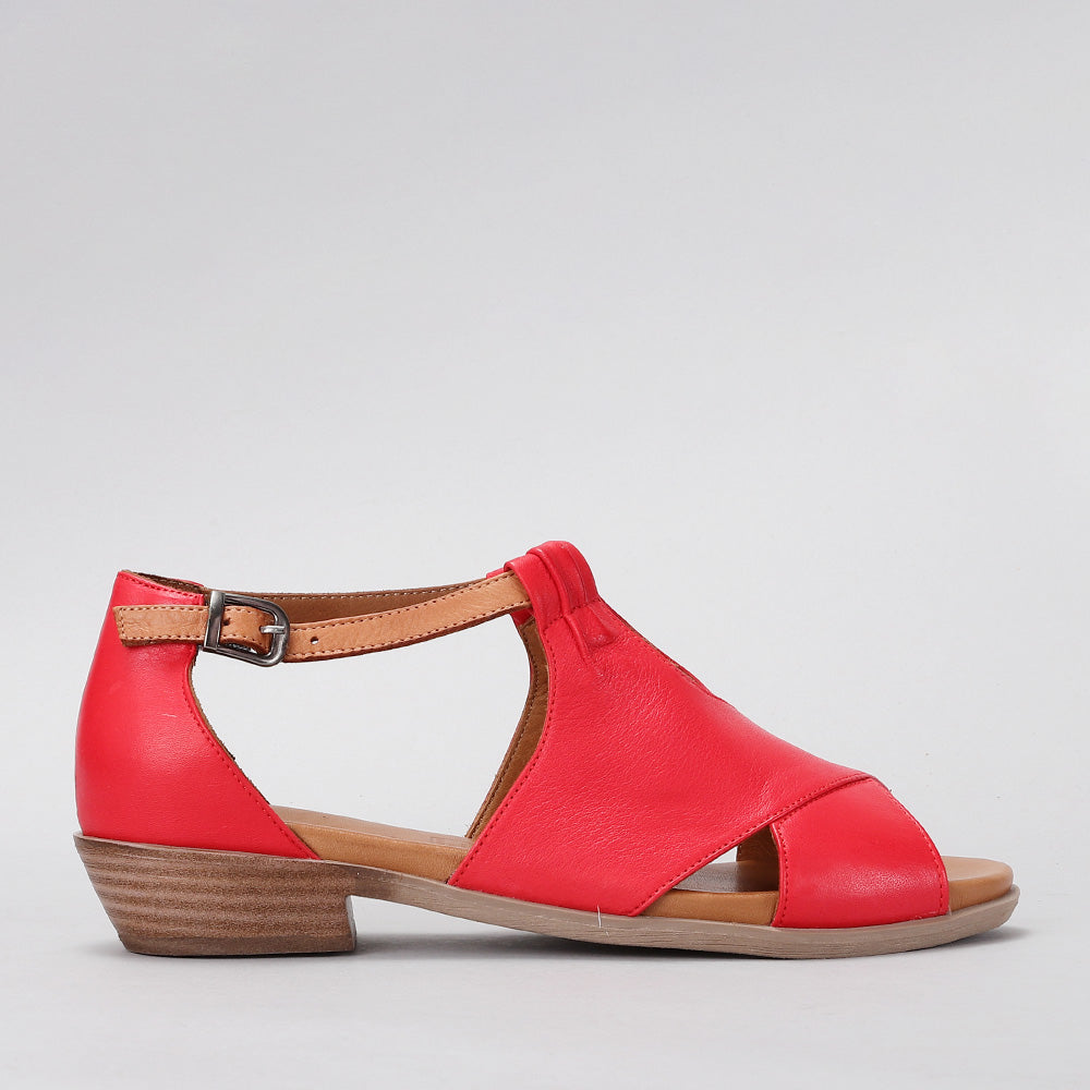 Digby - Red/Tan - LE SANSA