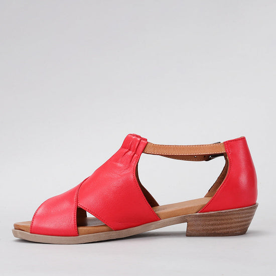 Digby - Red/Tan - LE SANSA