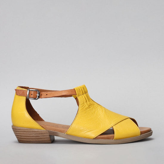 Digby - Yellow/Tan - LE SANSA