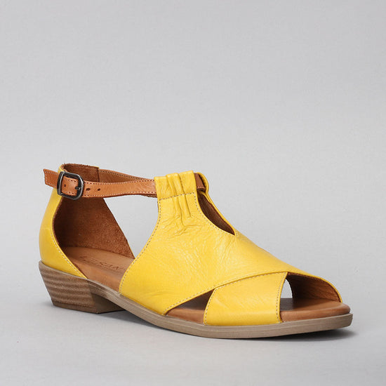Digby - Yellow/Tan - LE SANSA