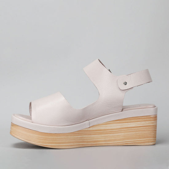 True - Silver Grey - LE SANSA