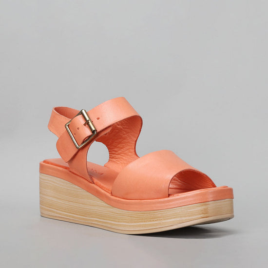 True - Sunburnt Orange - LE SANSA