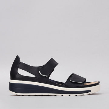 Happy - Navy - Naked Arches