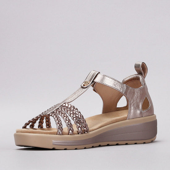 Havana - Champagne - Naked Arches