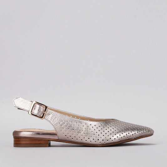 Zander - Champagne - Naked Arches