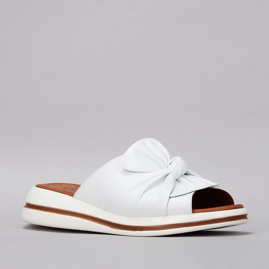 LE SANSA - Salsa - White