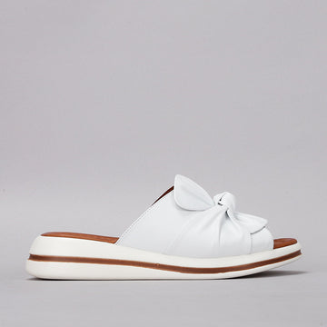 LE SANSA - Salsa - White