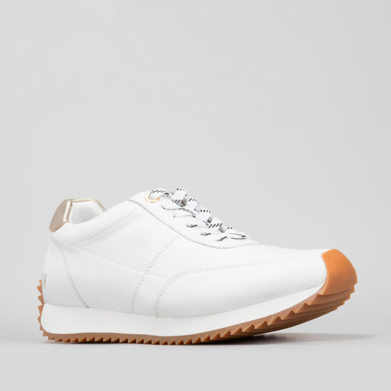 Waverly - White - NAKED ARCHES