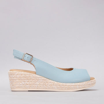 Petunia - Baby Blue - LE SANSA