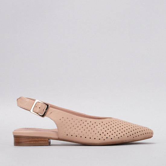 Zander - Sand - Naked Arches