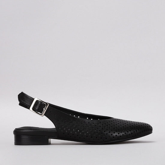 Zander - Black - Naked Arches