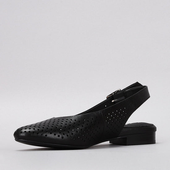 Zander - Black - Naked Arches