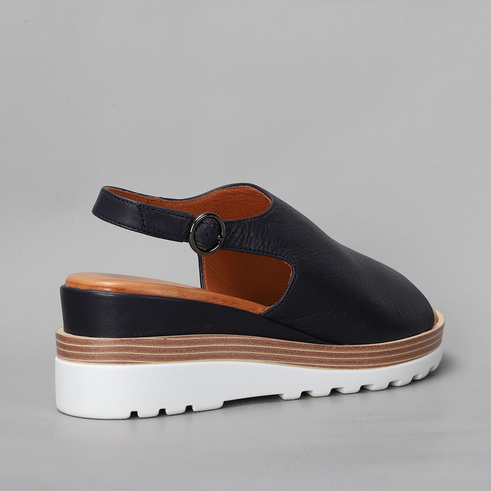 Thunder - Navy - LE SANSA
