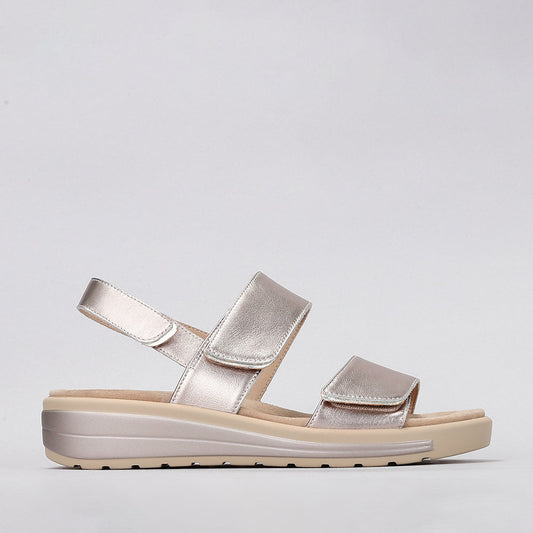 Hanza - Champagne - Naked Arches