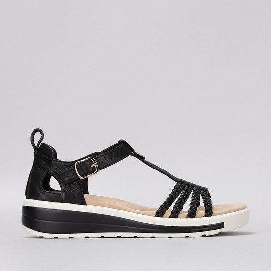 Havana - Black - Naked Arches