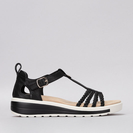 Havana - Black - Naked Arches