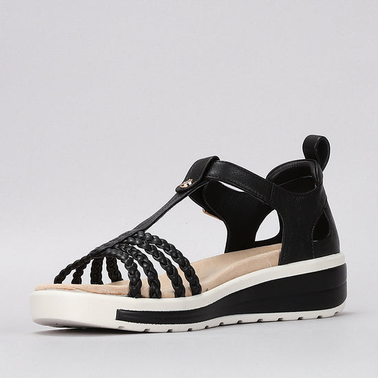 Havana - Black - Naked Arches