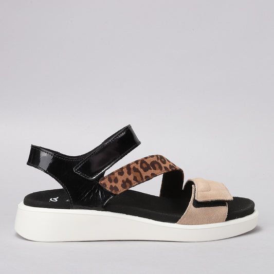 ARA - 12-21407 MADEIRA - BLACK/LEOPARD