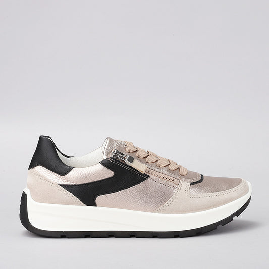 ARA - 12-25112 NEW YORK - SHELL/SAND & BLACK
