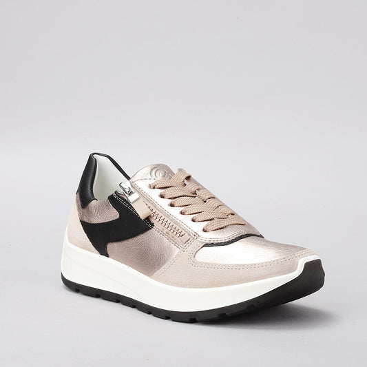 ARA - 12-25112 NEW YORK - SHELL/SAND & BLACK