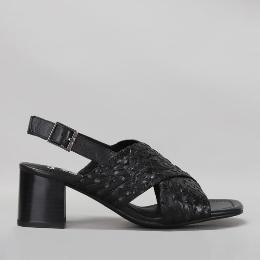 ARA - 12-20501 BRIGHTON - SCHWARZ