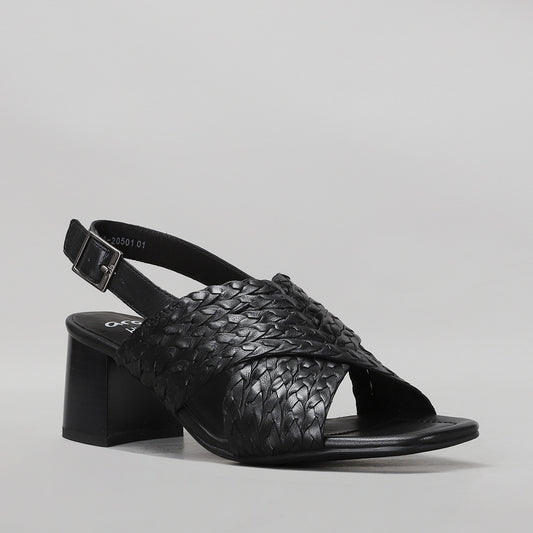 ARA - 12-20501 BRIGHTON - SCHWARZ