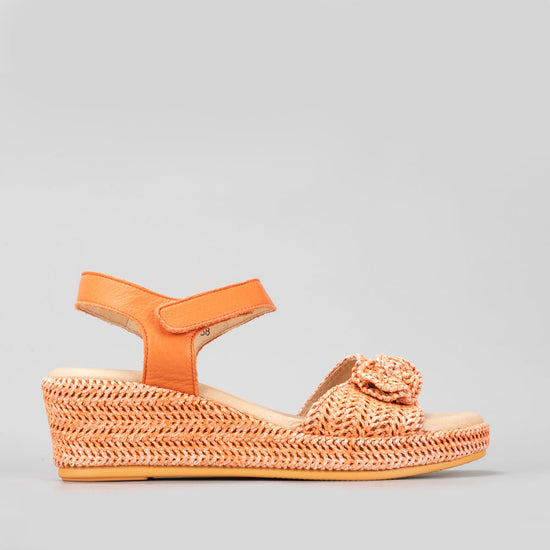 Pilia 2.0 - Orange - LE SANSA