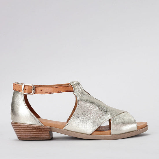 Digby - Gold Tan - LE SANSA