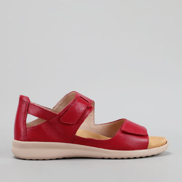 ZIERA - BOPEN XW-ZR - DK RED