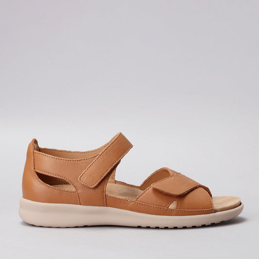 ZIERA - BRONN XW ZR - DK TAN ALMOND