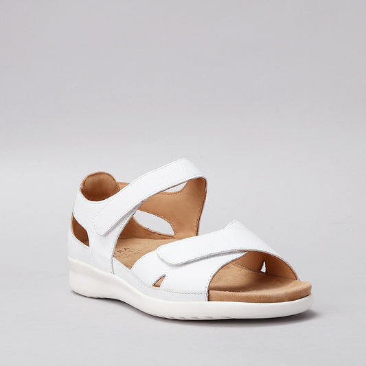 ZIERA - BRONN XW ZR - WHITE/WHITE