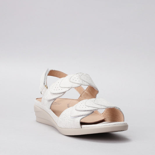 ZIERA - DIMONE W ZR - IVORY/GOLD PRINT
