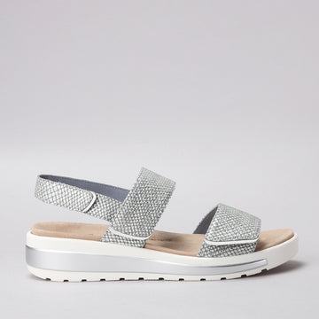 ZIERA - GARLIN W ZR - PEWTER & SILVER PRINT