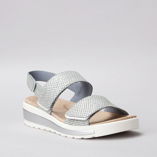 ZIERA - GARLIN W ZR - PEWTER & SILVER PRINT