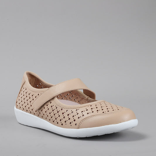 ZIERA - URSI XF-ZR - CAMEL