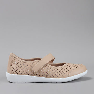 ZIERA - URSI XF-ZR - CAMEL