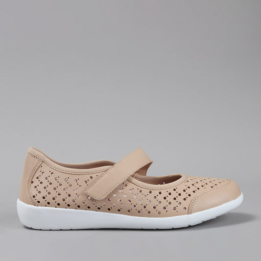 ZIERA - URSI XF-ZR - CAMEL