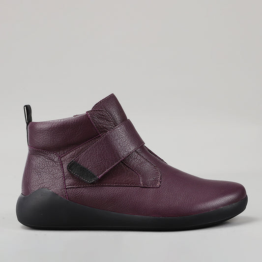 ZIERA - YEDD XF ZR - PURPLE BLACK