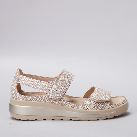 ZIERA - GEDD W ZR - CAMEL/ALMOND PRINT