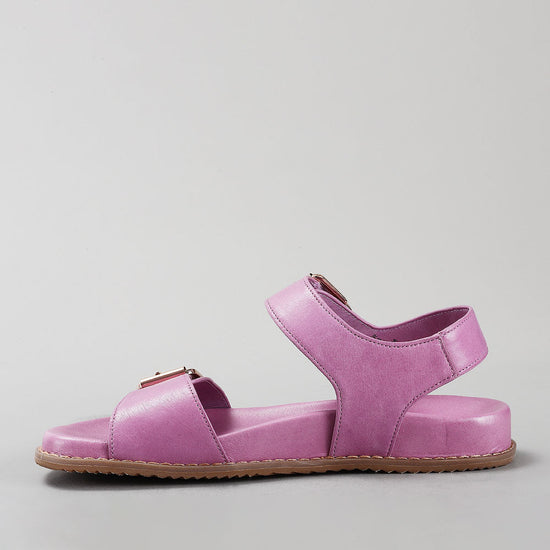 Ziggro - Lilac - Naked Arches